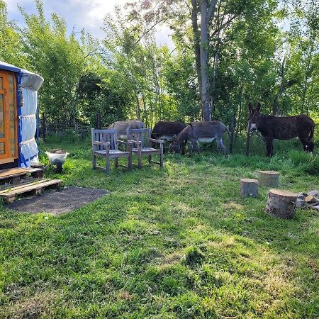Slapen Tussen De Ezels In De Yurt Hotel Aarschot Bagian luar foto