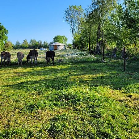 Slapen Tussen De Ezels In De Yurt Hotel Aarschot Bagian luar foto