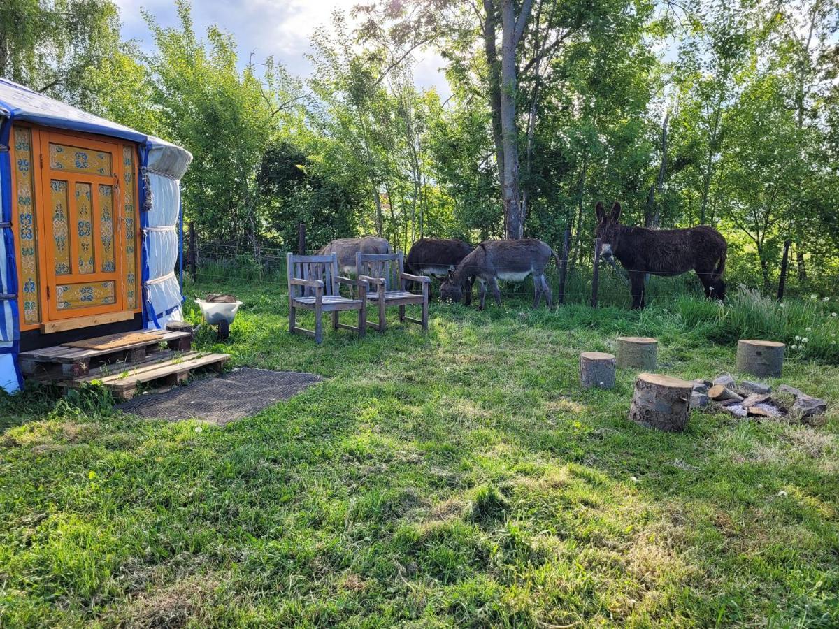 Slapen Tussen De Ezels In De Yurt Hotel Aarschot Bagian luar foto