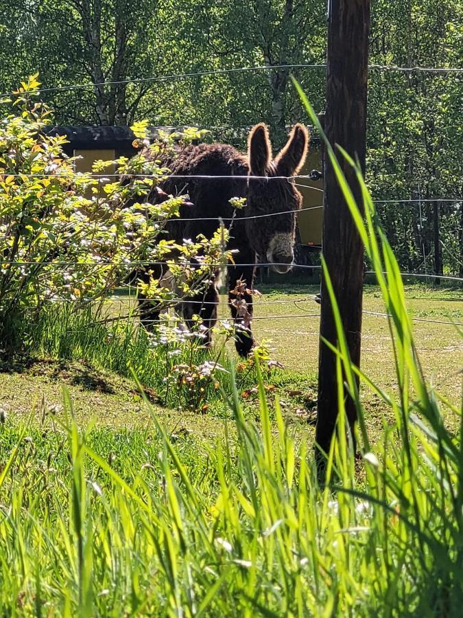 Slapen Tussen De Ezels In De Yurt Hotel Aarschot Bagian luar foto