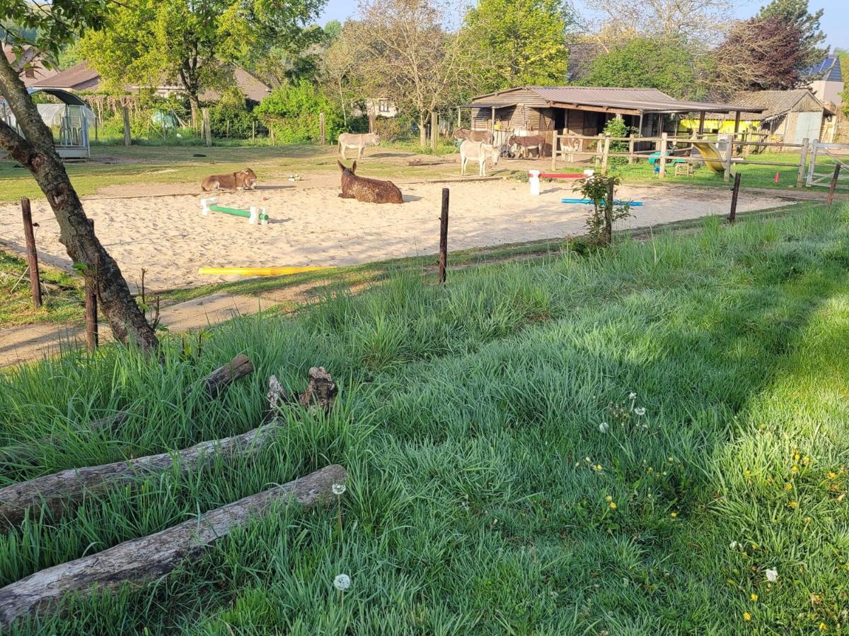Slapen Tussen De Ezels In De Yurt Hotel Aarschot Bagian luar foto
